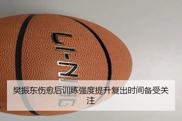 樊振东伤愈后训练强度提升复出时间备受关注
